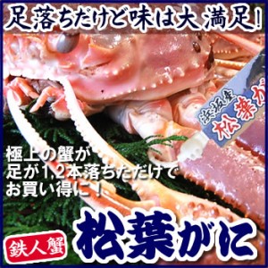 （送料無料）タグ付き・松葉がに（活生orボイル）最上ランク　特大サイズ　１枚　1.0-1.2kg前後（足１本落ち　※小指を除く）【兵庫県浜