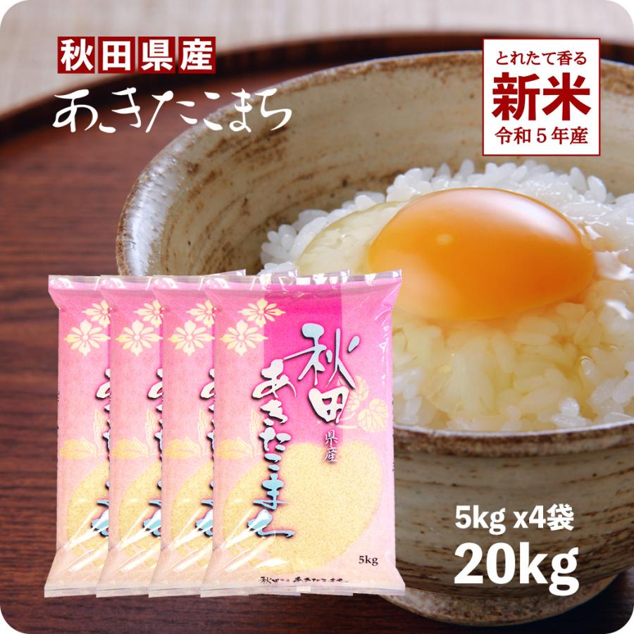 新米 20kg あきたこまち お米 秋田県産 令和５年産 送料無料 （沖縄のぞく）