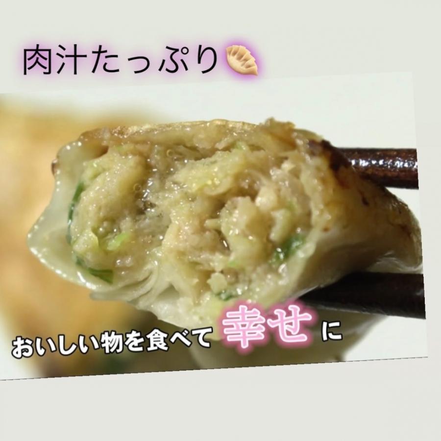 越後まるきよ餃子 100個入り