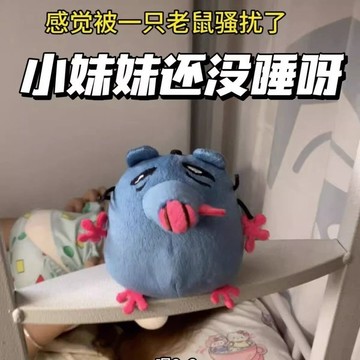 ✅新款披薩塔小磚 小妹妹還沒睡呀表情包毛絨玩偶 抽象可愛公仔收藏 臺灣出貨 1214