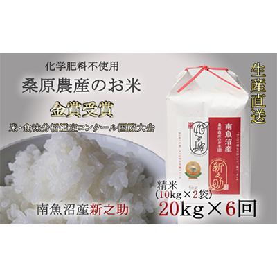 ふるさと納税 南魚沼市 桑原農産のお米　新之助10kg袋×2 全6回