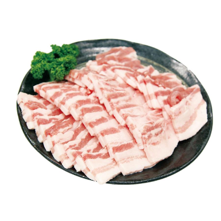 宮崎 SPF日南もち豚 バラ焼肉用 500g   送料無料 北海道・沖縄・離島は配送不可)