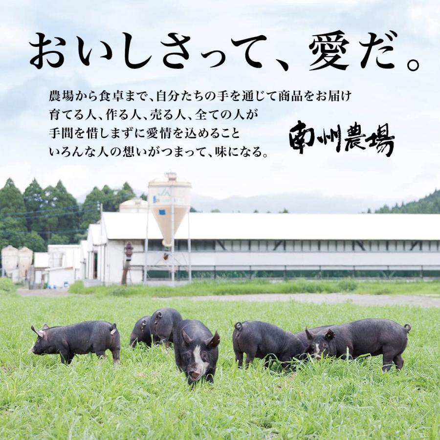 南州農場 かごしま黒豚バラエティーセット2（ロース味噌漬け・生姜焼き・生ハンバーグ）NNF-3450 お中元 お歳暮 ギフト 贈答用 化粧箱入