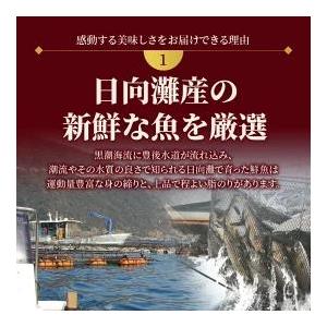 ふるさと納税 豪華白身の饗宴！延岡産活〆真鯛とヒラメの新鮮お刺身セット　N019-ZB809 宮崎県延岡市