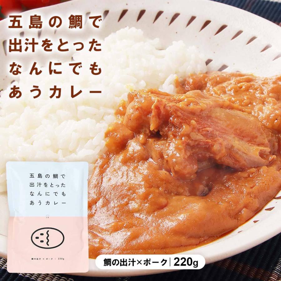 ごと 五島の鯛で出汁をとったなんにでもあうカレー ポーク 220g 五島 カレー 出汁