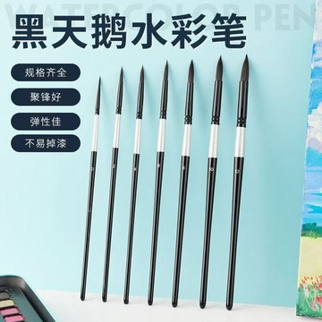 💥臺灣有貨💥免運💥黑天鵝套裝水彩筆美術專用紅胖子鬆鼠軟毛圓頭繪畵數字油畵diy S6P8