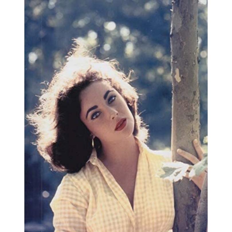 エリザベステイラー直筆サイン入り2Lサイズ写真…Elizabeth Taylor ...