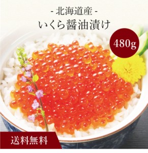 〔 北海道産 いくら醤油漬け 〕お取り寄せ 送料無料 内祝い 出産内祝い 新築内祝い 快気祝い ギフト 贈り物