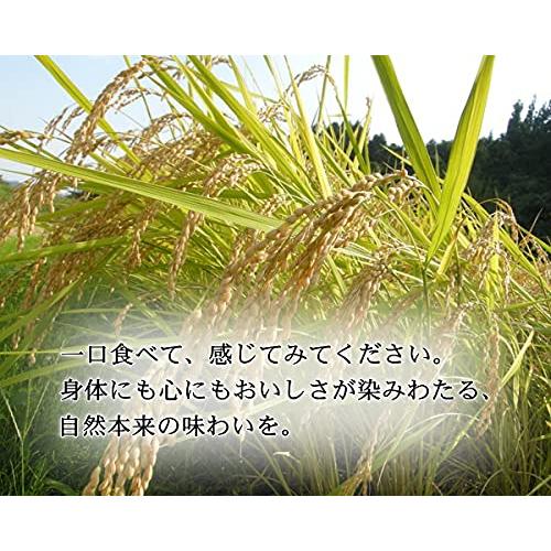 農薬を使わずに育てたお米 新潟県産コシヒカリ 原点回帰米 玄米 5キロ 有機JAS認証コシヒカリ オーガニック・有機米 農薬不使用 化学肥料不使用