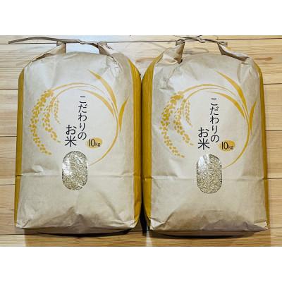 ふるさと納税 茂原市 新米 令和5年産 茂原市産「コシヒカリ」 玄米20kg(10kg×2袋)