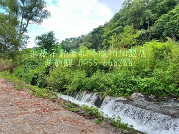 【專售】2874坪平緩地形前溪後山｜大地坪原保地｜花蓮縣萬榮鄉新白陽段