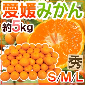 ”愛媛みかん” 秀品 S M Lサイズ 約5kg 送料無料