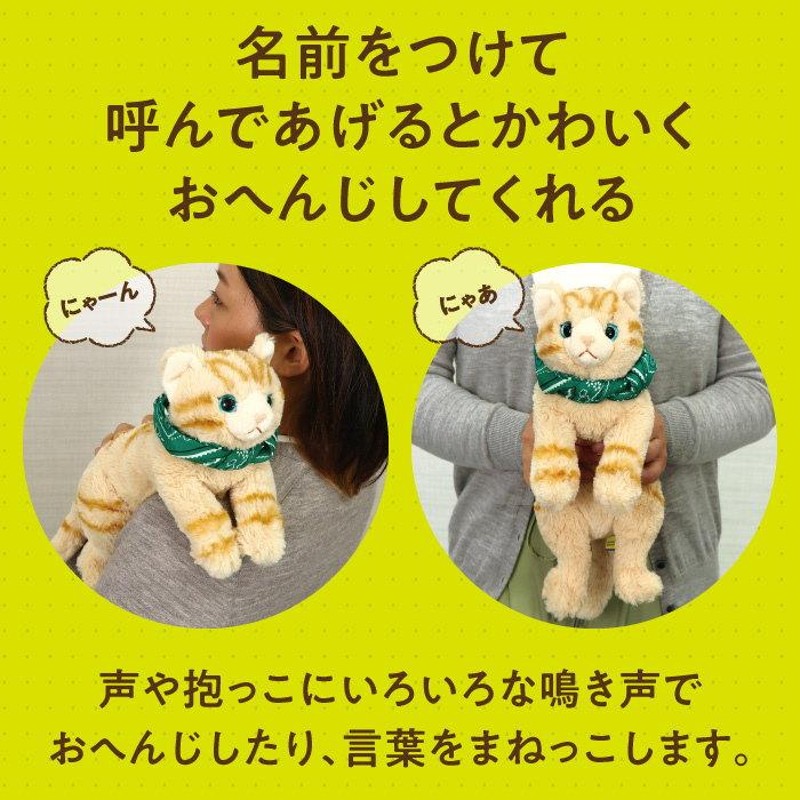 音声認識 ぬいぐるみ おへんじアニマル 猫 おしゃべり ぬいぐるみ 猫 