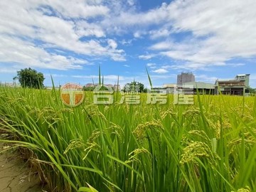 台灣庭伊✨️廣興臨路方正千坪農地✨️｜桃園市八德區廣興段