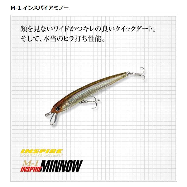 エバーグリーン M1インスパイアミノー #413 RP湖産ワカサギ