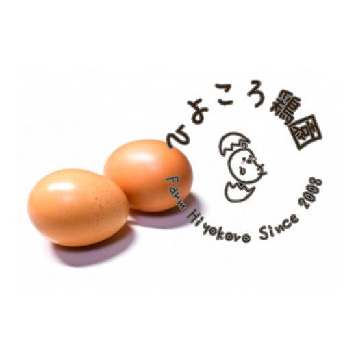 ふるさと納税 新潟県 阿賀野市 手作り地鶏餃子の餡 4本セット 1R03011