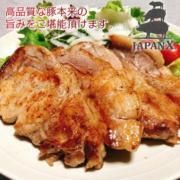 豚ロース とんかつ ステーキ 極厚切り 5枚 約1kg 豚肉 ポーク 国産 蔵王牧場 JAPAN X