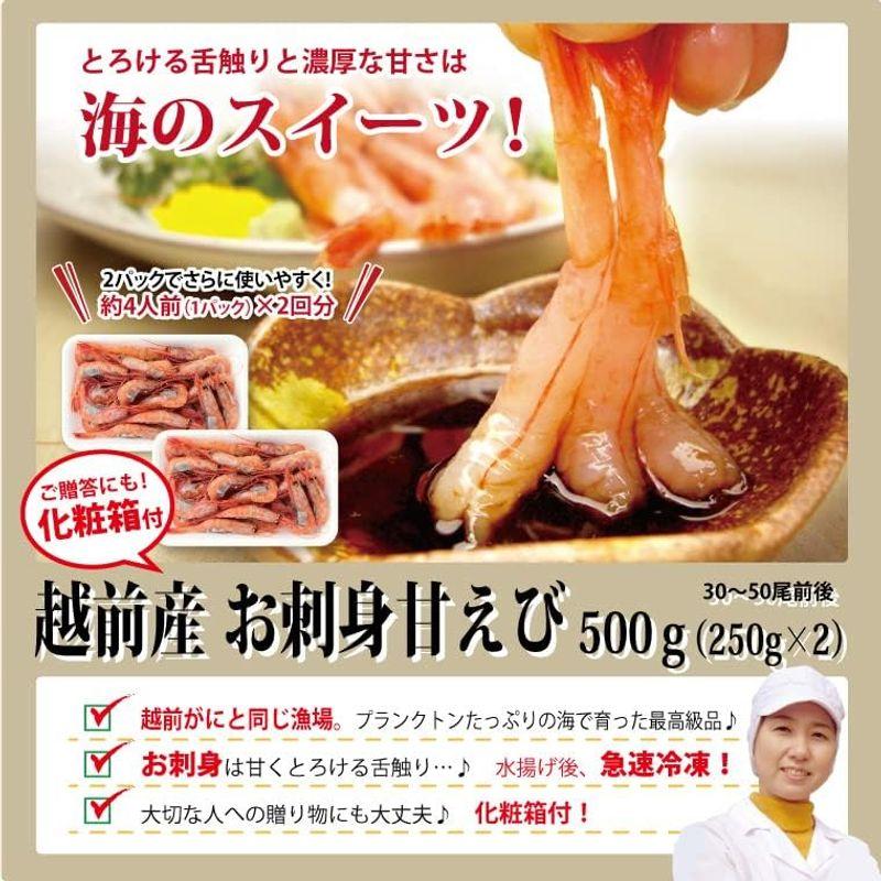 越前宝や 甘えび 500g（250g×2) 50〜30尾 子持ち 子無し サイズ不揃い 刺身用 甘エビ 越前 日本海産 エビ 海老 冷凍