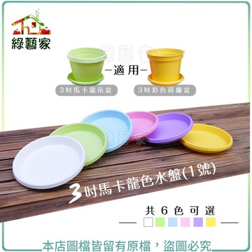 【綠藝家】3吋馬卡龍色水盤(1號)多色可選