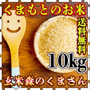 お米 米 10kg 玄米 送料無料 熊本県産 森のくまさん 新米 令和5年産 あす着 5kg2個 くまもとのお米 富田商店 とみた商店