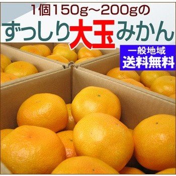 訳あり大玉みかん2L・3Lサイズ20kg