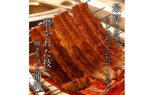 名店の味 宮崎県産うなぎ蒲焼 5尾(ウナギ650g以上) 国産 鰻 蒲焼き [G8405]