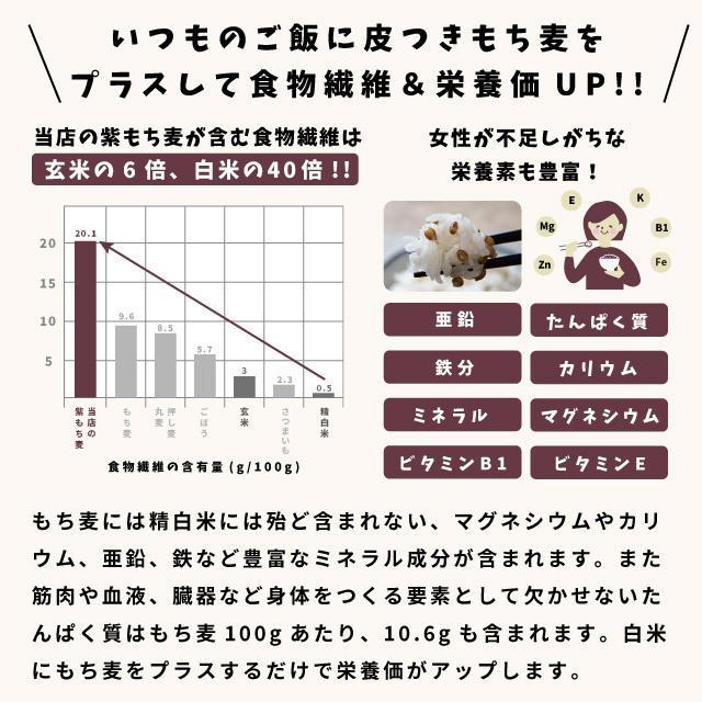 もち麦 国産 ダイシモチ 紫もち麦 プチコさん 900gｘ3袋 2.7kg  皮付き アントシアニン 腸内環境 食物繊維