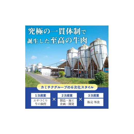 ふるさと納税 鹿児島県 霧島市 A5-003 ≪鹿児島県産A5等級≫黒毛和牛＆上村牛ローススライスセット(計600g)