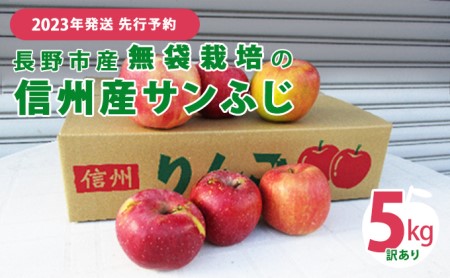 先行予約 長野市産無袋栽培の信州産サンふじ5kg（訳あり）2024年発送