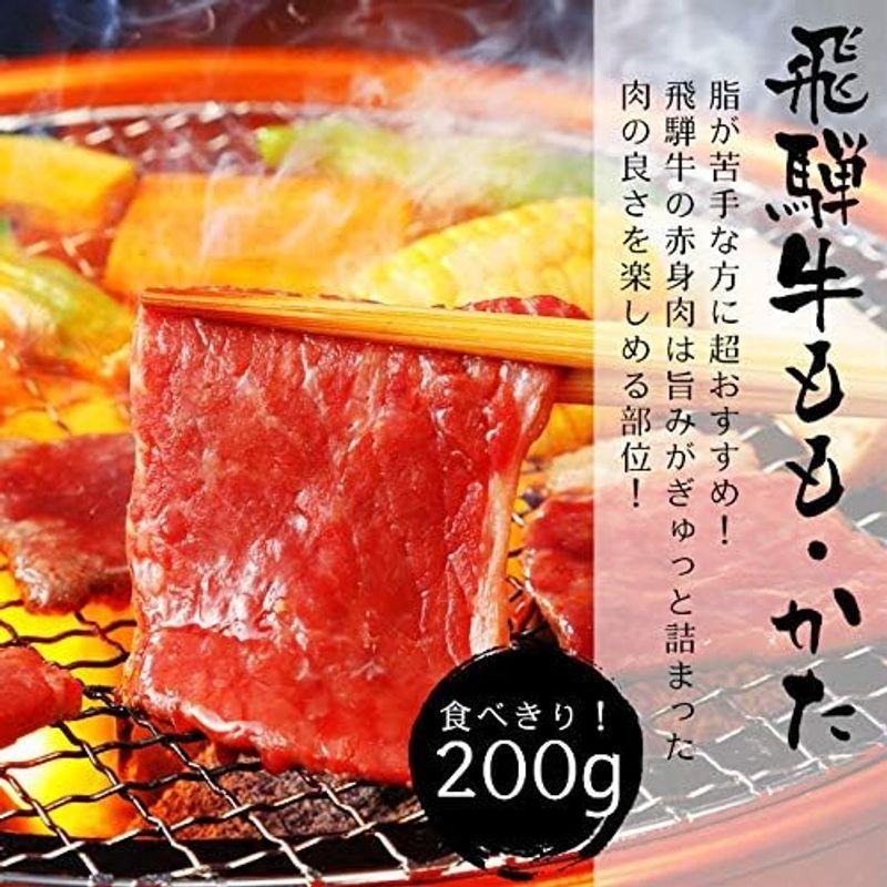 肉のひぐち 飛騨牛 ＆ 国産 豚肉 バーベキューセット 1kg 4?5人分 牛肉 牛カルビ 牛もも・かた 豚肉 豚バラ 豚ロース セット B