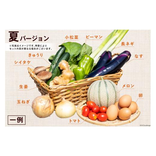 ふるさと納税 長崎県 島原市 AA025野菜・フルーツ・卵　旬のお任せ　Aセット