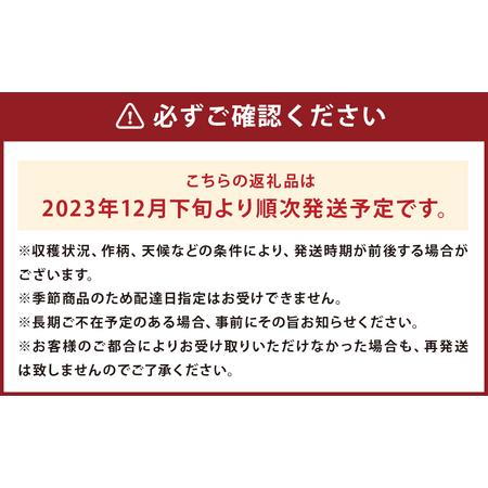 ふるさと納税 訳あり りんご (シナノゴールド) 10kg 岩手県二戸市