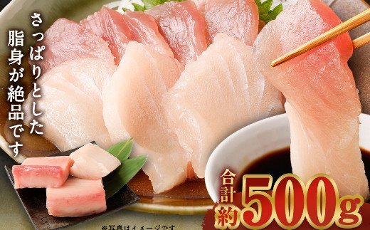  厳選 トロびんちょうマグロ 約500g　ge014