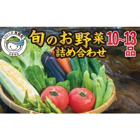 ふるさと納税 阿波の国海陽町　旬のお野菜詰め合わせセット１０‐１３品 徳島県海陽町