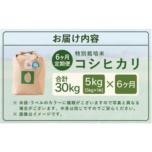 ふるさと納税 福井県 坂井市 定期便 ≪6ヶ月連続お届け≫ 乳酸菌入りの土壌で育てた 福井県 坂井町産 特別栽培米コシヒカリ 5kg (白米) [D-4…