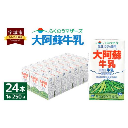 ふるさと納税 熊本県 宇城市 大阿蘇牛乳 250ml×24本 1ケース 生乳 100% ミルク 成分無調整牛乳