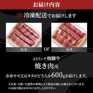 牛肉 飛騨牛 焼き肉 セット 赤身 モモ 又は カタ 600ｇ 黒毛和牛 Ａ5 美味しい お肉 牛 肉 和牛 焼肉 BBQ バーベキュー 