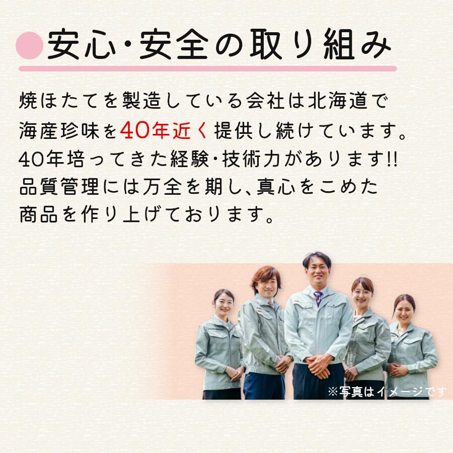 帆立貝柱 帆立 ホタテ 焼きほたて貝 500g 大粒 燻製 やわらか焼ほたて ベビーホタテ 帆立 珍味 つまみ 干し 帆立 ソフト 海鮮 お取り寄せ メール便