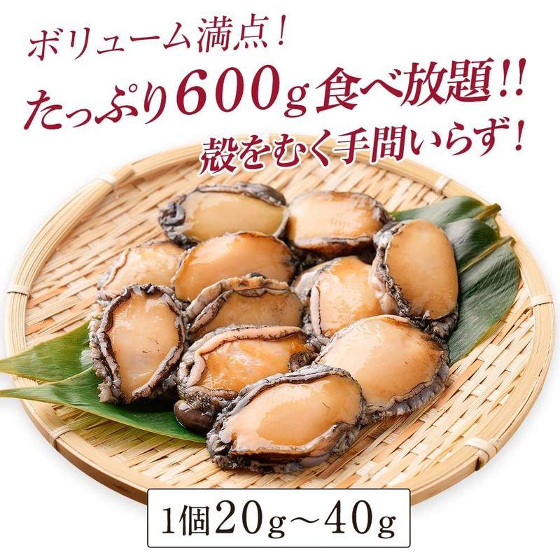 和歌山県産アワビ むき身 300g (約6粒-13粒入) ×2袋 お歳暮 おせち 真空パック 蝦夷あわび 蝦夷アワビ アワビ 鮑 煮貝 蒸し