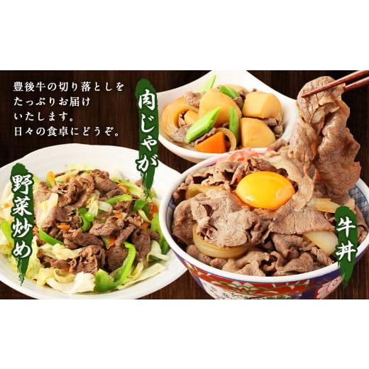 ふるさと納税 大分県 九重町 切り落とし 1.2kg (600g×2) 焼肉 ステーキ 霜降り