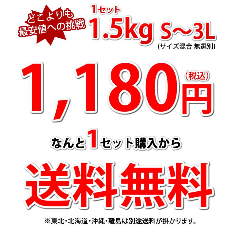 みかん デコポン 同品種 訳ありデコみかん 1.5kg S〜3L 送料無料 2セット購入で1セットおまけ 3セット購入で3セットおまけ 熊本県産 フルーツ ミカン 蜜柑