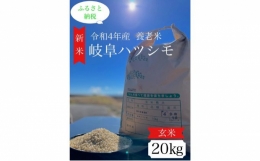 令和4年産岐阜ハツシモ　20kg 玄米 [№5215-0256]