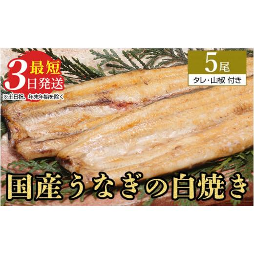 ふるさと納税 茨城県 土浦市 うなぎ白焼き　5尾（120g以上×5尾） メディアに紹介されたうなぎ屋 国産 冷蔵 うなぎ 鰻 ウナギ タレ・山椒つき しら焼き※着…