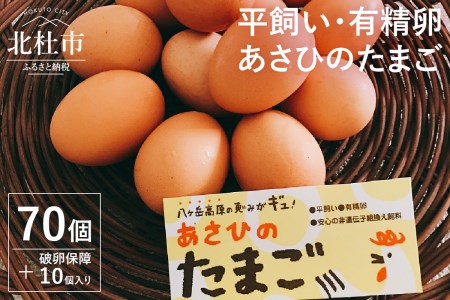 平飼い・有精卵　あさひのたまご　70個 破卵保障10個入り