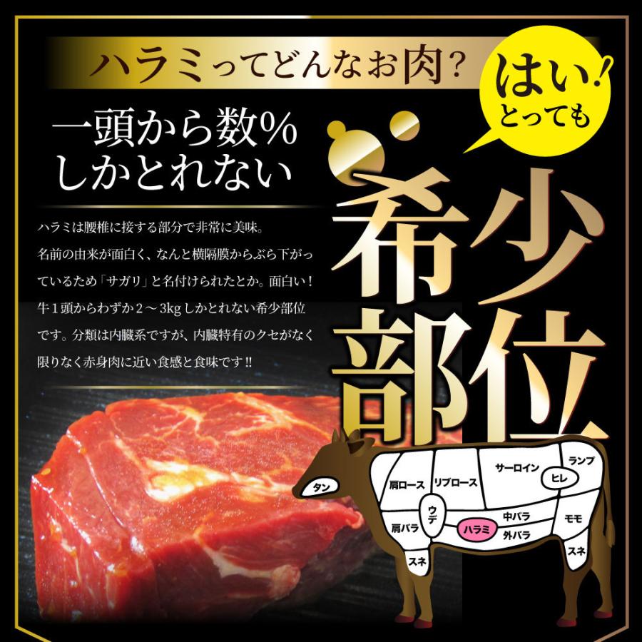 ステーキ ハラミ 牛ハラミ ブロック 焼肉 （タレ漬け）250ｇ タレ 秘伝 焼肉セット 焼肉 ランキング1位 やきにく ハラミ 赤身 はらみ 赤身肉