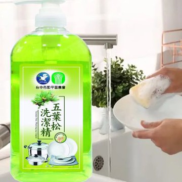五葉松洗潔精/壓頭1000mlx15瓶 - 洗碗精 碗盤洗潔液