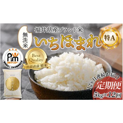 ふるさと納税 福井県 あわら市 定期便12回 いちほまれ 無洗米 5kg×12回（60kg）《お米マイスターが発送直前に精米！》／ 福井県産 ブランド米 …