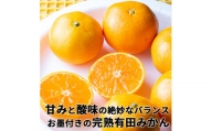 樹上完熟有田みかん　約10kg※2023年11月中旬～2024年1月中旬頃に順次発送予定※着日指定不可