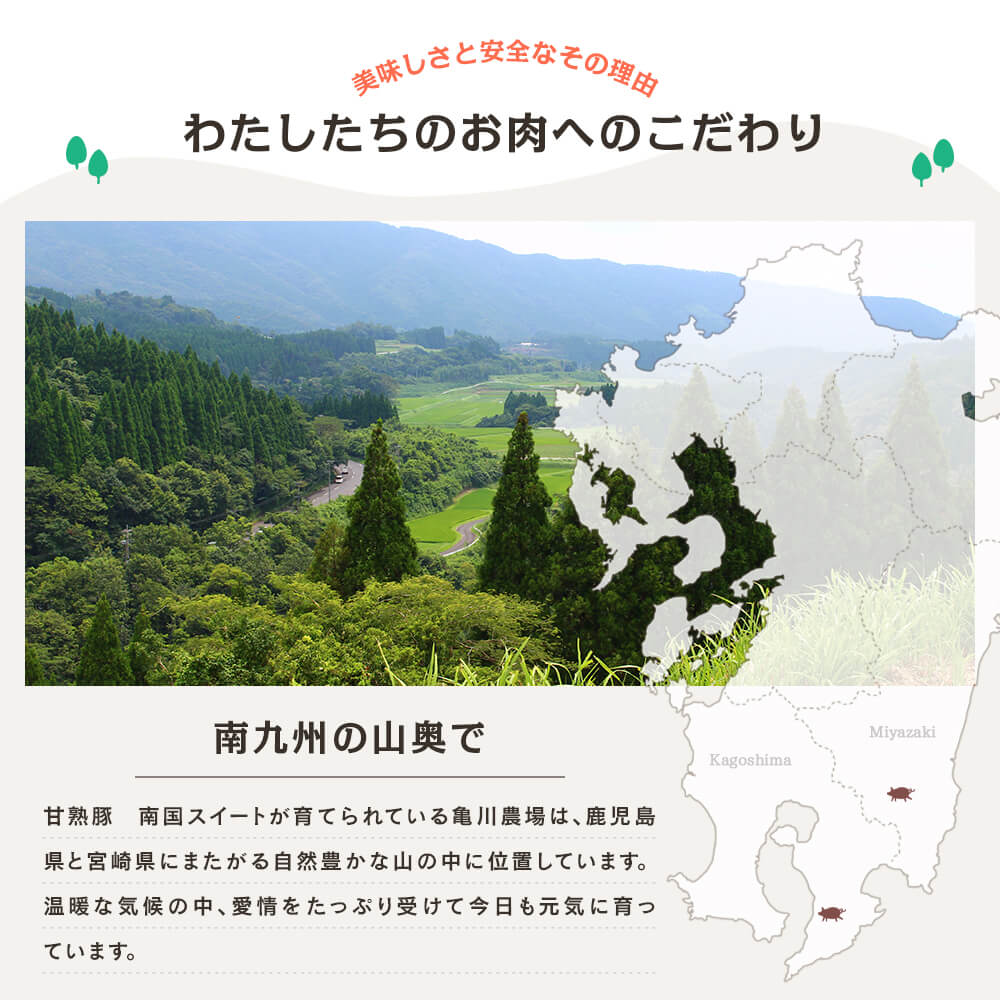 九州産 甘熟豚 南国スイート 豚肩ロース しゃぶしゃぶ 500g(250g×2)