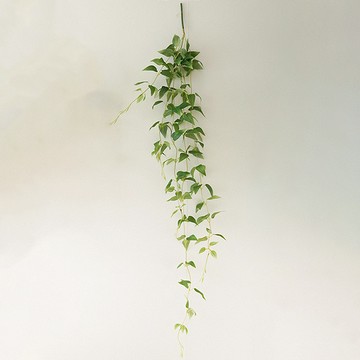 flaus302 人造懸掛菝葜 XL 120公分  1個  綠色